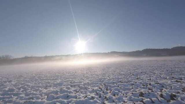 into the fog in wintertime