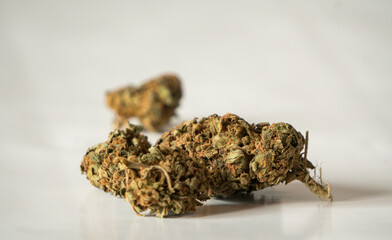 Legal, dry cannabis cbd marijuana for health and private use in the isolated bright studio. 