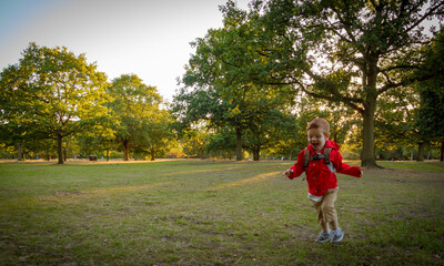 Fototapeta premium Cute Baby Boy Running in a Park on a Sunny Evening
