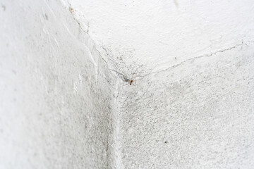 Moldy stone wall through damp walls structure photographed in daylight