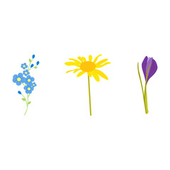 Wild flowers seamless background vector illustration. Wrapping paper art. Floral backdrop. Summer flower. Fabric texture print. Design element.