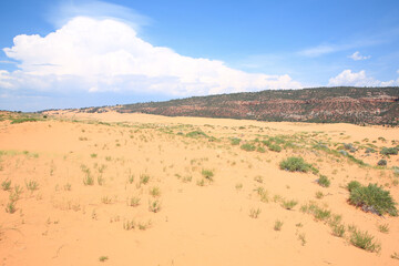 Coral Pink Sand Dunes State Park in Utah, USA