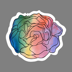 Blooming rose with black contour and wanercolor filling isolated on the white background. Vector handdrawn illustration