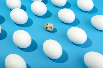 quail egg among chicken eggs on blue background
