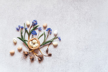 Minimal Easter background with colorful Easter eggs, bird's nest and and blue scilla spring flowers - obrazy, fototapety, plakaty