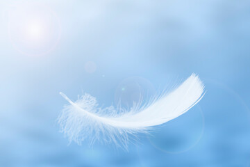 Beautiful Soft and Light White Feather Floating in the Sky with Clouds. Abstract. Heavenly Dreamy Fluffy Colorful Sky.	