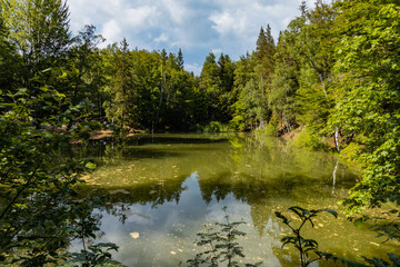 Beautiful colorful lakes "Kolorowe Jeziorka" square in Rudawy Janowickie mountains © Pawel-Wierzchowski