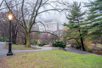 Central Park in spring