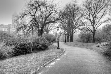 Central Park in spring