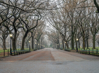 Obraz premium Central Park the Mall