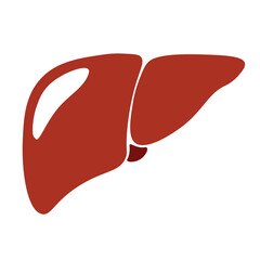 Liver icon in trendy flat style. Symbol for your web site design, logo, app, UI