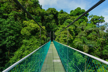 Hanging bridge in a park around Arenal volcano in Costa Rica