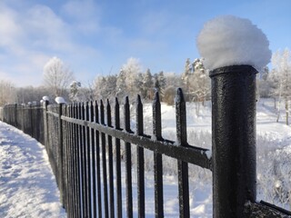 Black metal fence covered with snow
