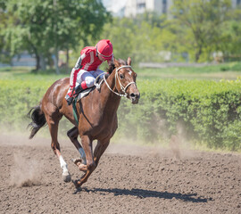  The rider skips on horse