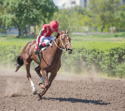 The rider skips on horse