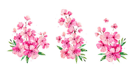 Set of pink Apple and Cherry flowers isolated on white background. Hand painted watercolor sakura. Botanical hand drawn illustration for wedding invitations, prints, greeting cards, birthday, fabrics