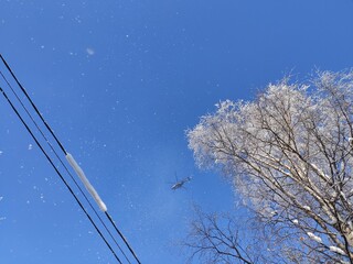 Helicopter flies against the sky above trees and wires in the snow