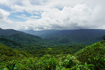 Naklejka premium High angle view of the cloud forest in Monteverde, Costa Rica