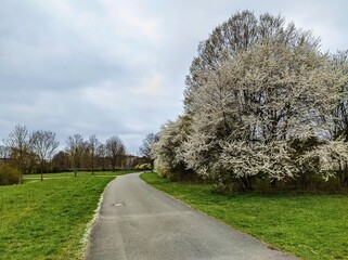Frühling in Hannover  Bemerode.