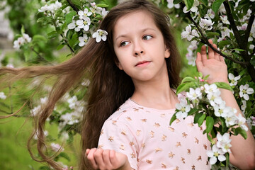 beautiful girl with long hair among the white flowers of a blooming apple tree