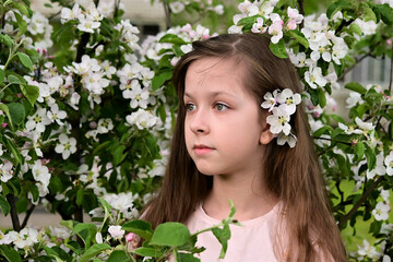 Fototapeta premium beautiful girl with long hair among the white flowers of a blooming apple tree