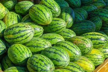 Watermelons on sale in the Jean-Talon Market Market, Montreal