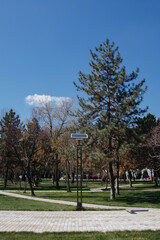 Street lights solar panel energy generator