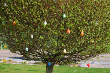 Geschmückter Baum mit bunten Ostereiern