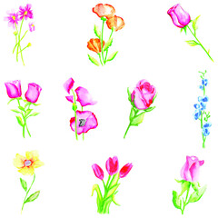 Floral elements collection, watercolor flower set.