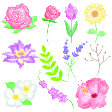 Floral elements collection, watercolor flower set.