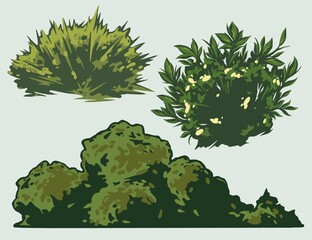 Green natural bushes composition
