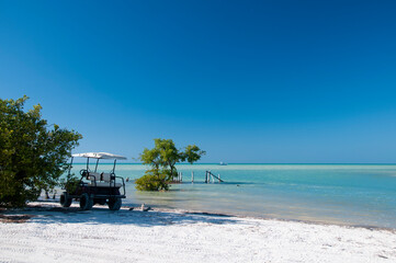 A Golf car in a deserted tropical white sandy beach near a small tree in Holbox Mexico Island. In the background the blue sky and the Caribbean ocean. Transport and tourism concept