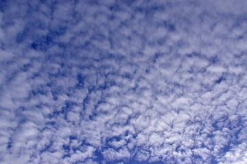 Cirrostratus clouds in the blue spring sky.