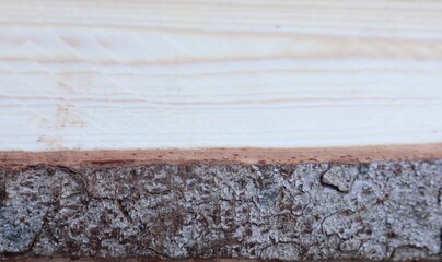 Planed wooden board with tree bark.