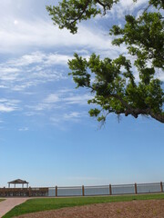 Obraz premium View near pier and sea background