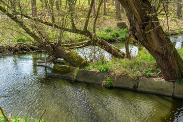 Spring walk in the beautifull nature and wonderfull photo&rsquo;s