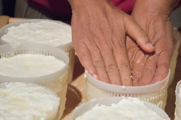 hands making cheese in traditional recipe and artisanal process