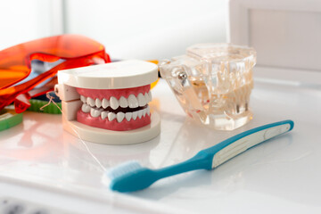 Jaw mockup and toothbrush on the table