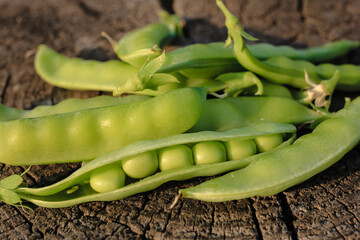 Fresh pods of sweet green peas as natural food summer harvest background. Healthy eating, lifestyle.