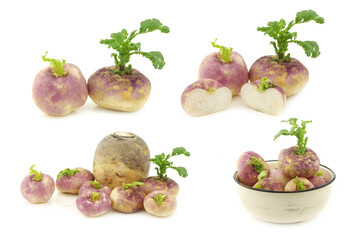 freshly harvested spring turnips (Brassica rapa) on a white background