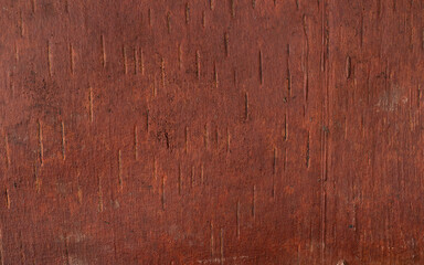 Old wood tree background surface natural pattern