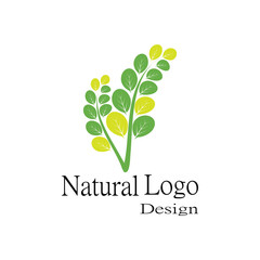 Leaf icon Vector Illustration design Logo template