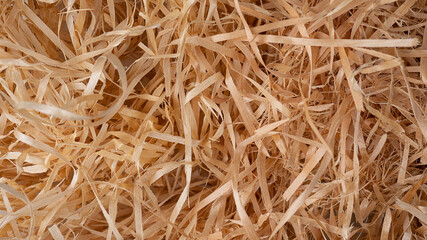 Close up view on wood shavings. Abstract background.