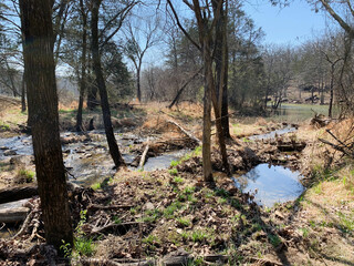 Fototapeta premium Springtime river and lake in the forest