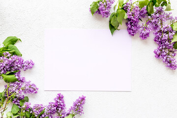 Spring flowers mock up. Purple flowers with green leaves. Space for text