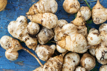 Freshly collected vegetables on the table.