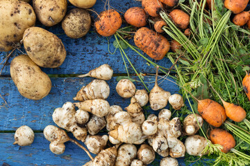 Freshly collected vegetables on the table.