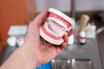 Mock up jaw with teeth holds in hand