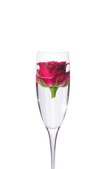 Close-up view of beatiful dark red rose in a glass