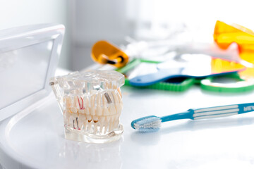 Jaw mockup and toothbrush on the table